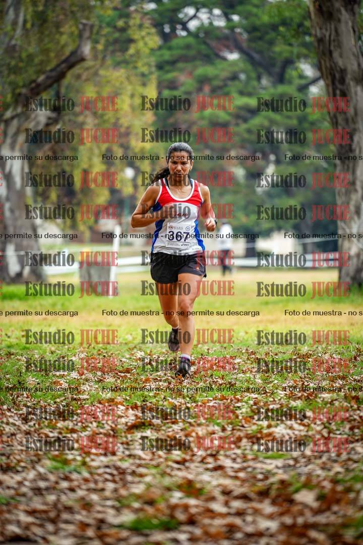 Fotos en el octavo punto del circuito