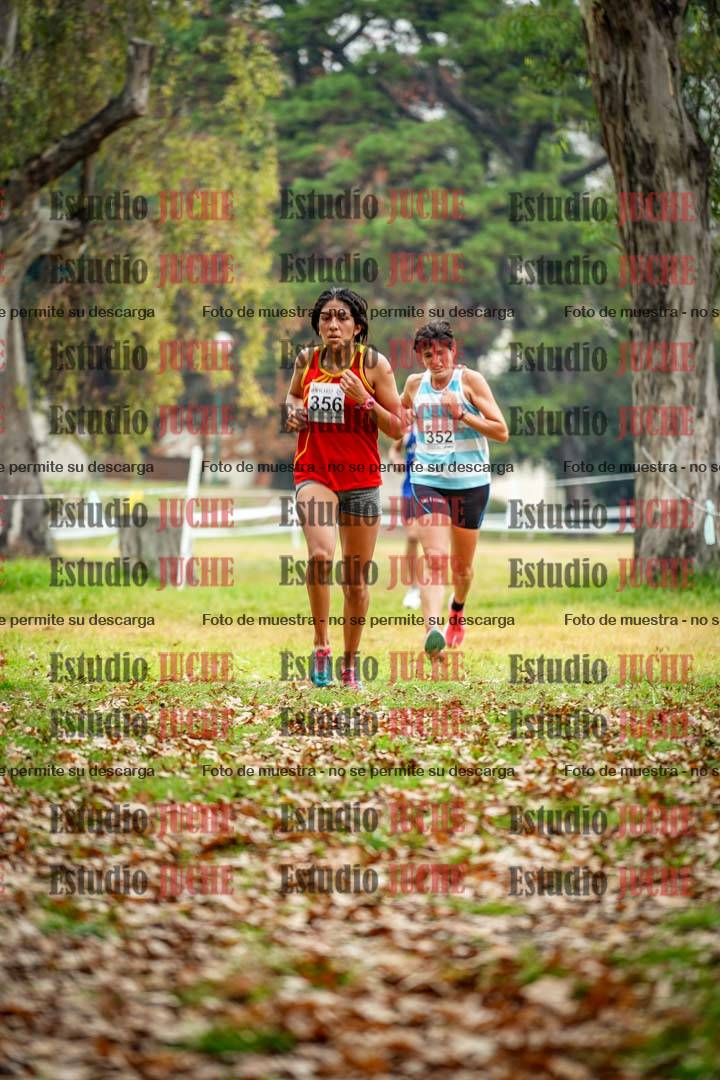 Fotos en el octavo punto del circuito