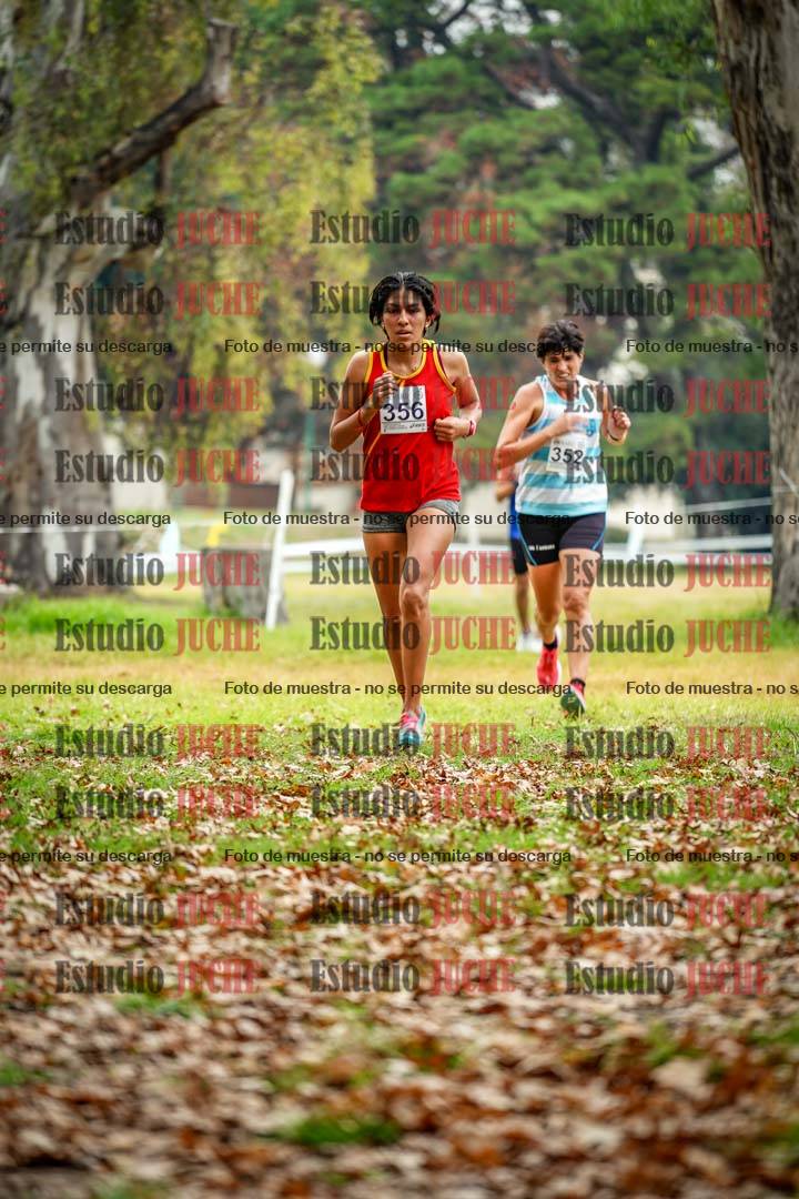 Fotos en el octavo punto del circuito