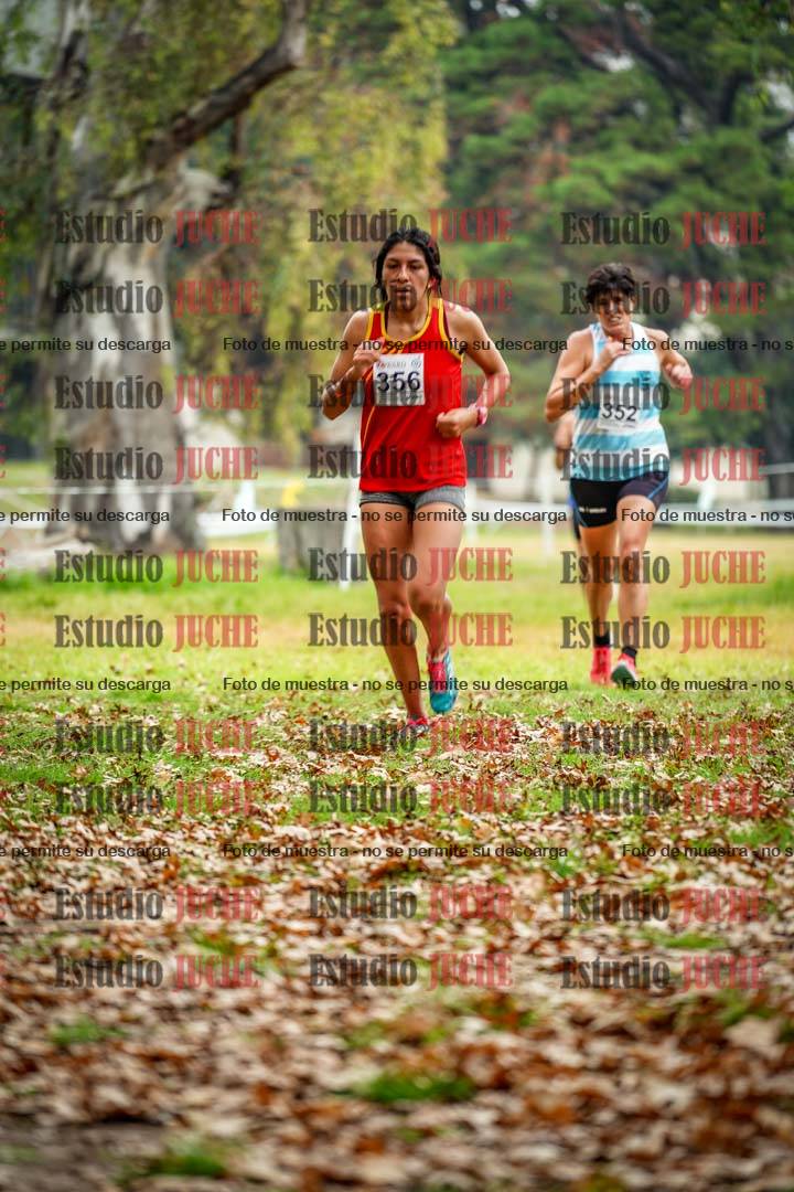 Fotos en el octavo punto del circuito