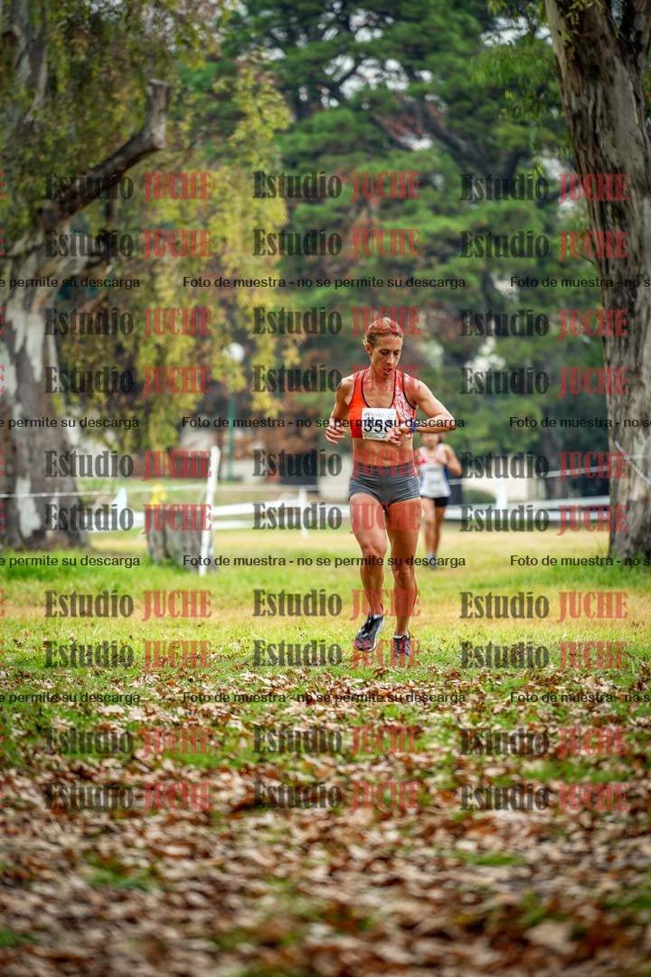 Fotos en el octavo punto del circuito