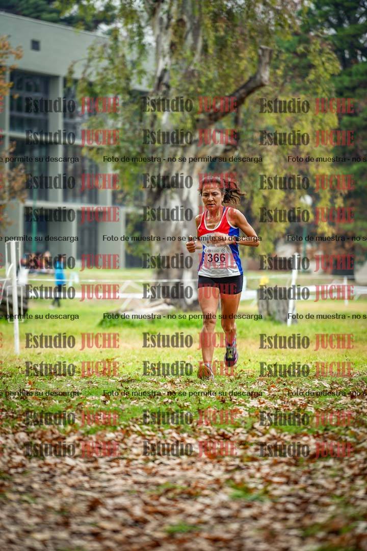 Fotos en el octavo punto del circuito