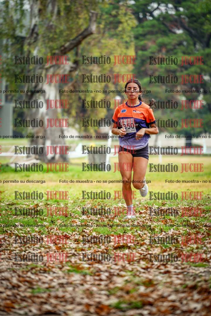 Fotos en el octavo punto del circuito