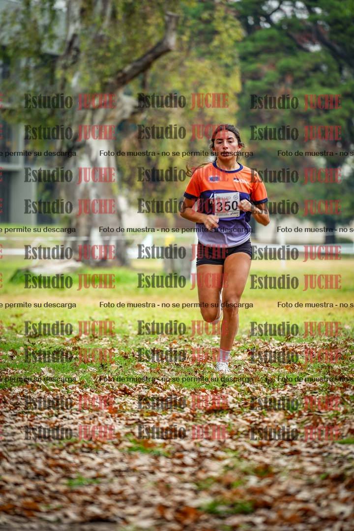 Fotos en el octavo punto del circuito