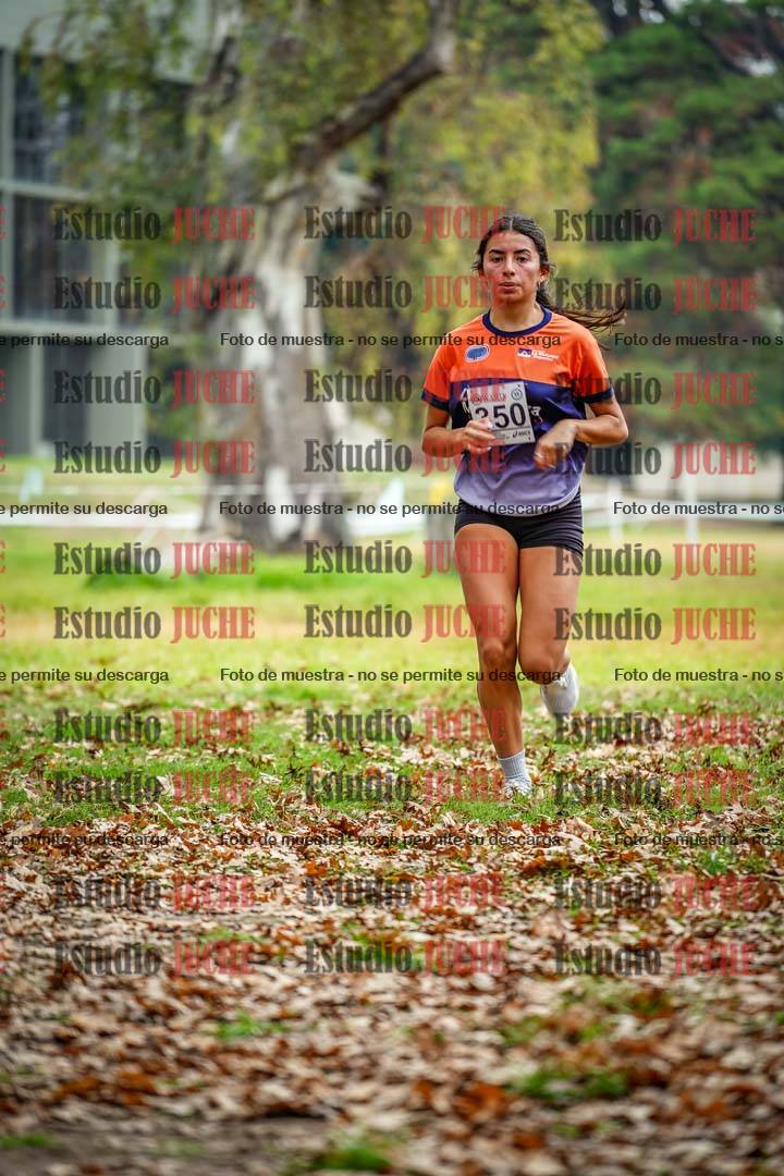 Fotos en el octavo punto del circuito