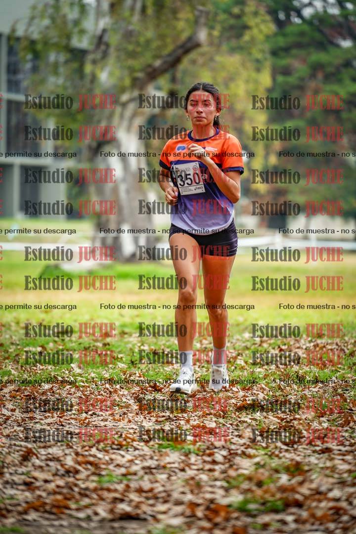 Fotos en el octavo punto del circuito