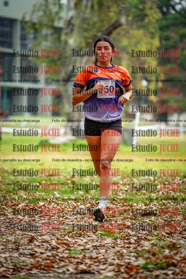Fotos en el octavo punto del circuito