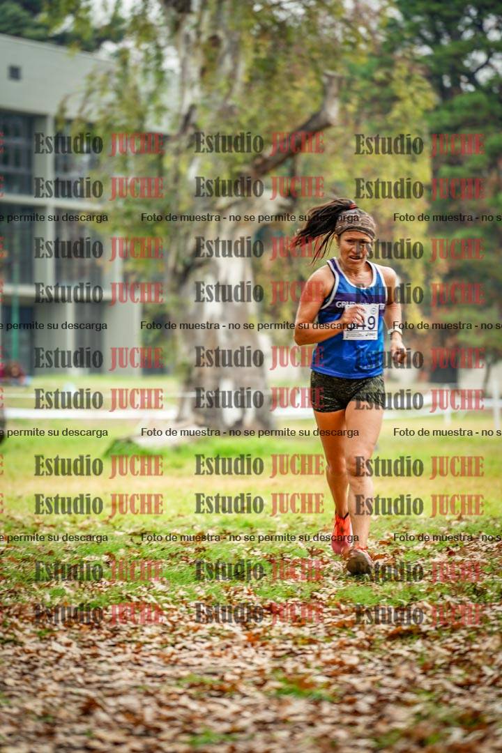 Fotos en el octavo punto del circuito