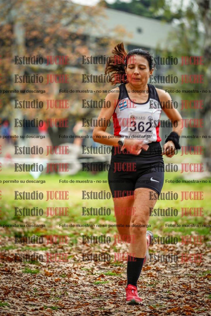 Fotos en el octavo punto del circuito