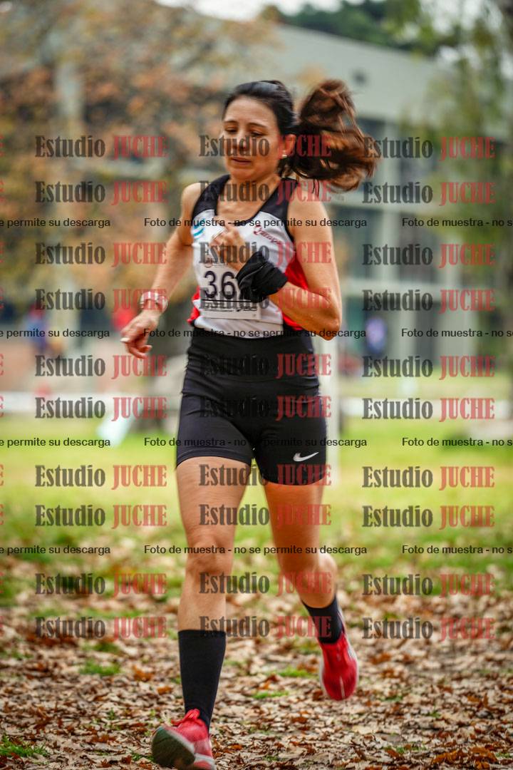 Fotos en el octavo punto del circuito