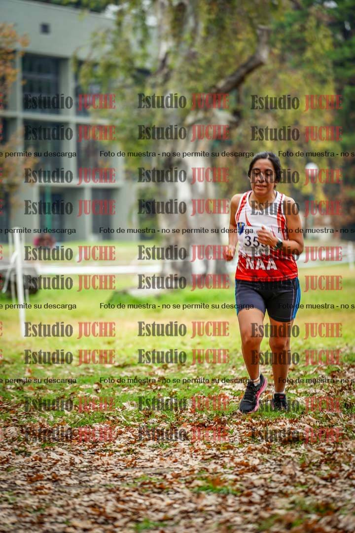 Fotos en el octavo punto del circuito