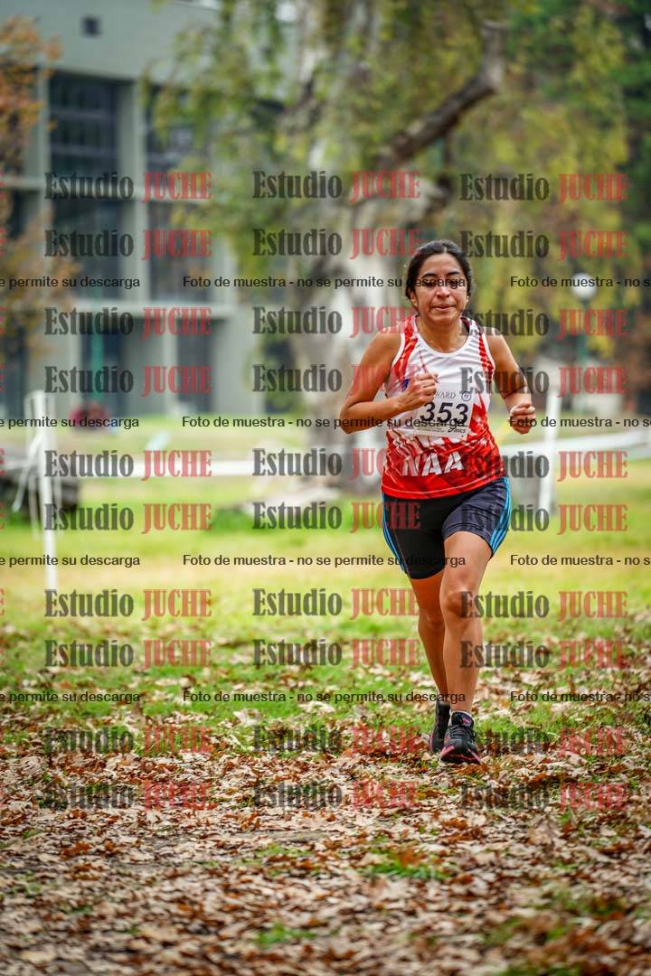 Fotos en el octavo punto del circuito