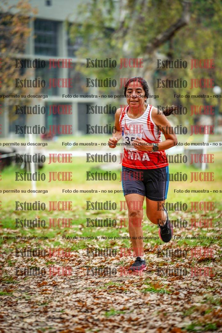 Fotos en el octavo punto del circuito