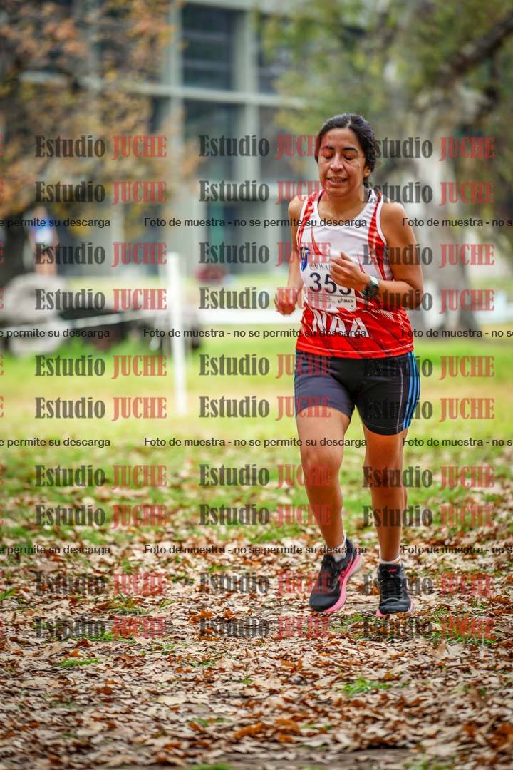 Fotos en el octavo punto del circuito