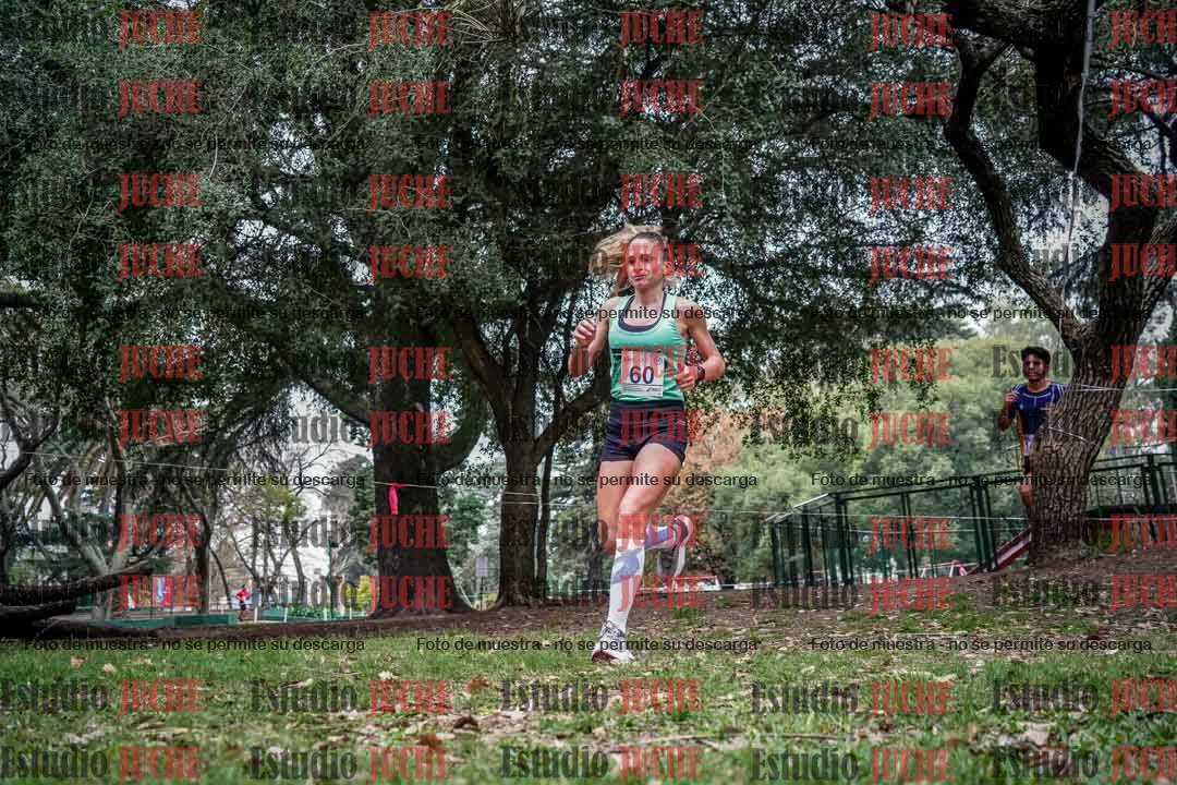 Fotos en el quinto punto del circuito