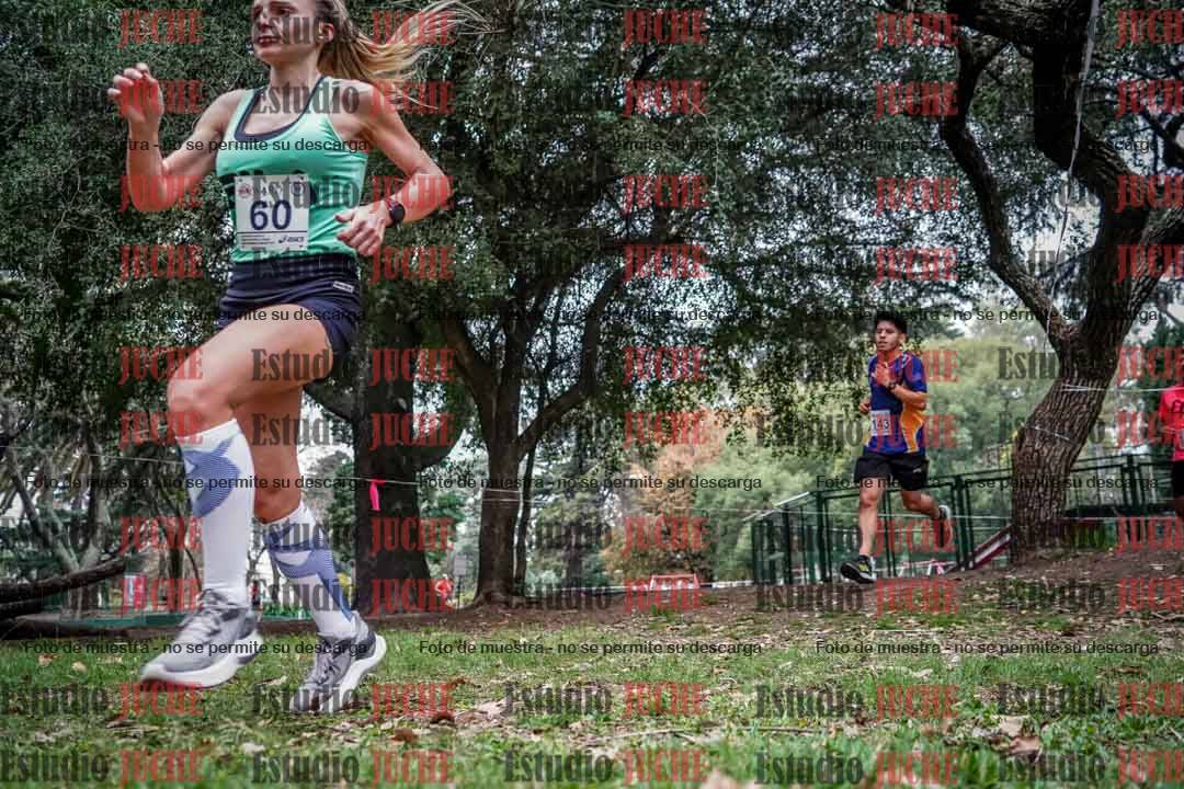 Fotos en el quinto punto del circuito