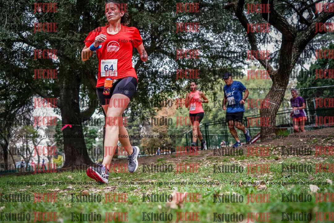 Fotos en el quinto punto del circuito