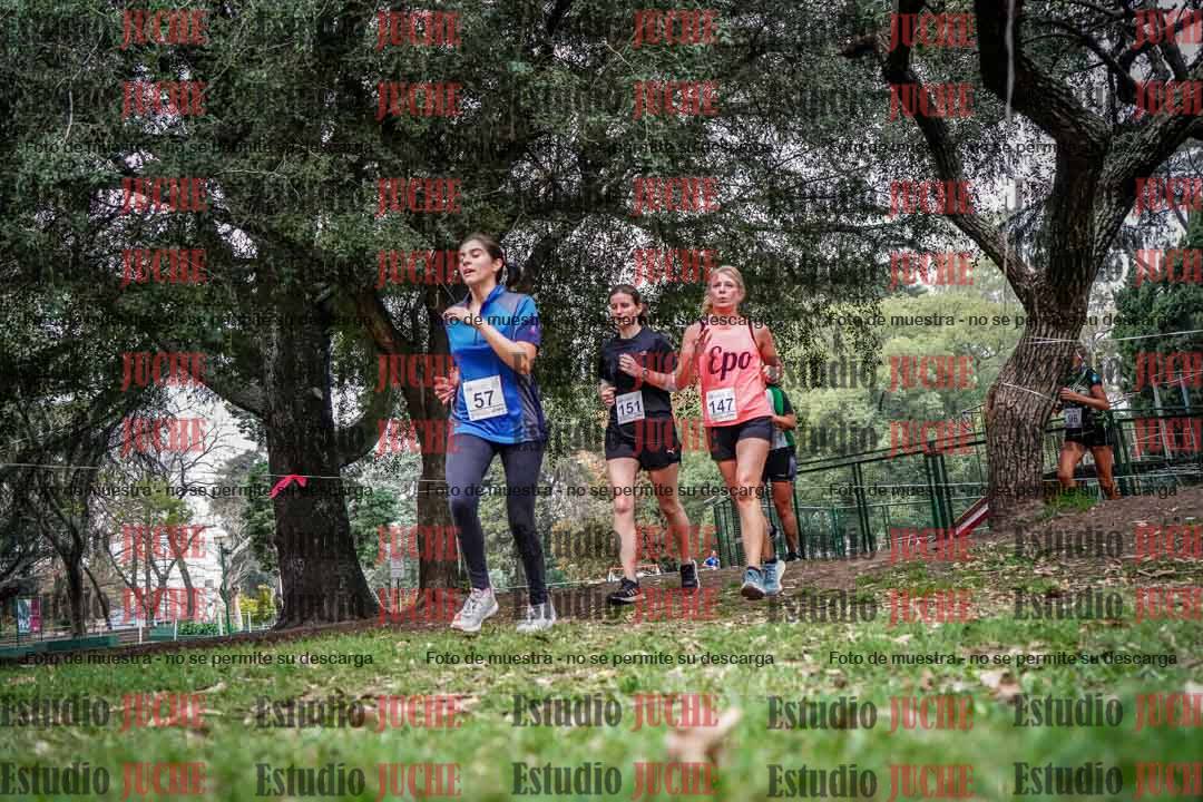 Fotos en el quinto punto del circuito