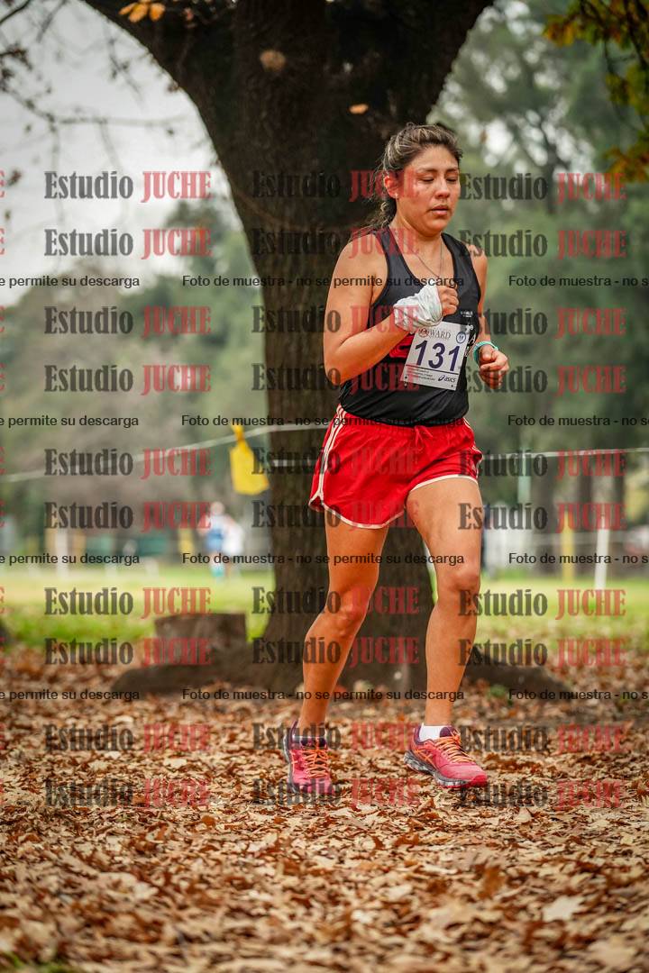 Fotos en el séptimo punto del circuito