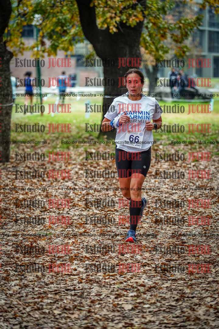 Fotos en el octavo punto del circuito