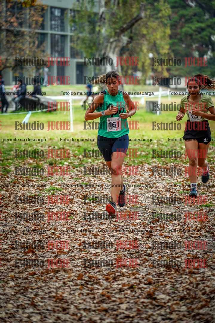 Fotos en el octavo punto del circuito