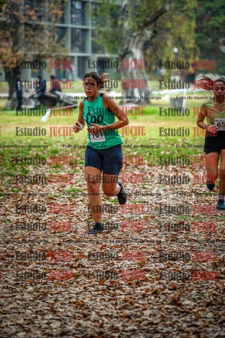 Fotos en el octavo punto del circuito