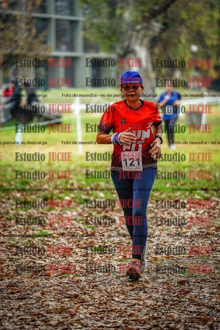Fotos en el octavo punto del circuito