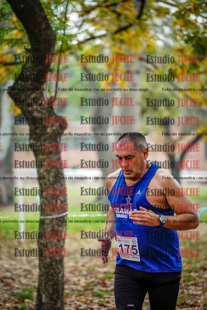 Fotos en el octavo punto del circuito