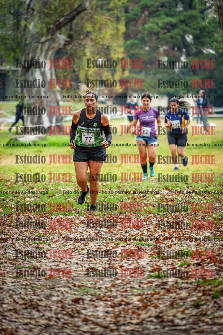 Fotos en el octavo punto del circuito