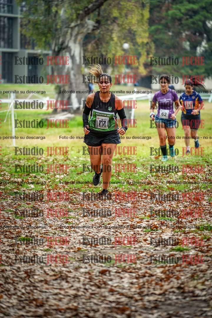 Fotos en el octavo punto del circuito