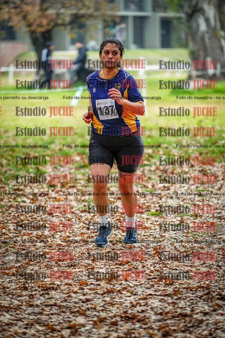 Fotos en el octavo punto del circuito