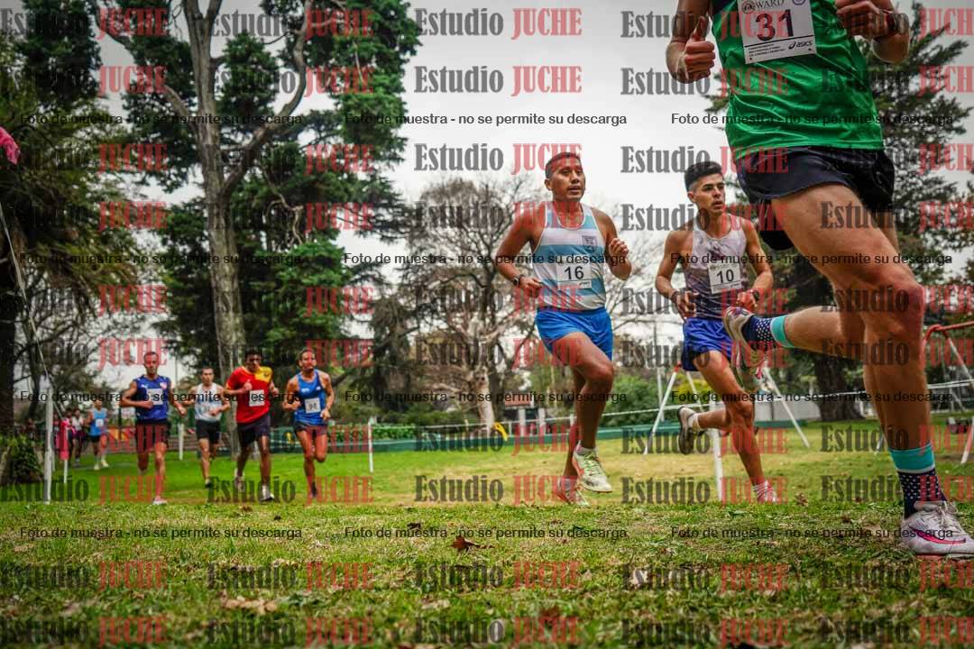 Fotos en el sexto punto del circuito