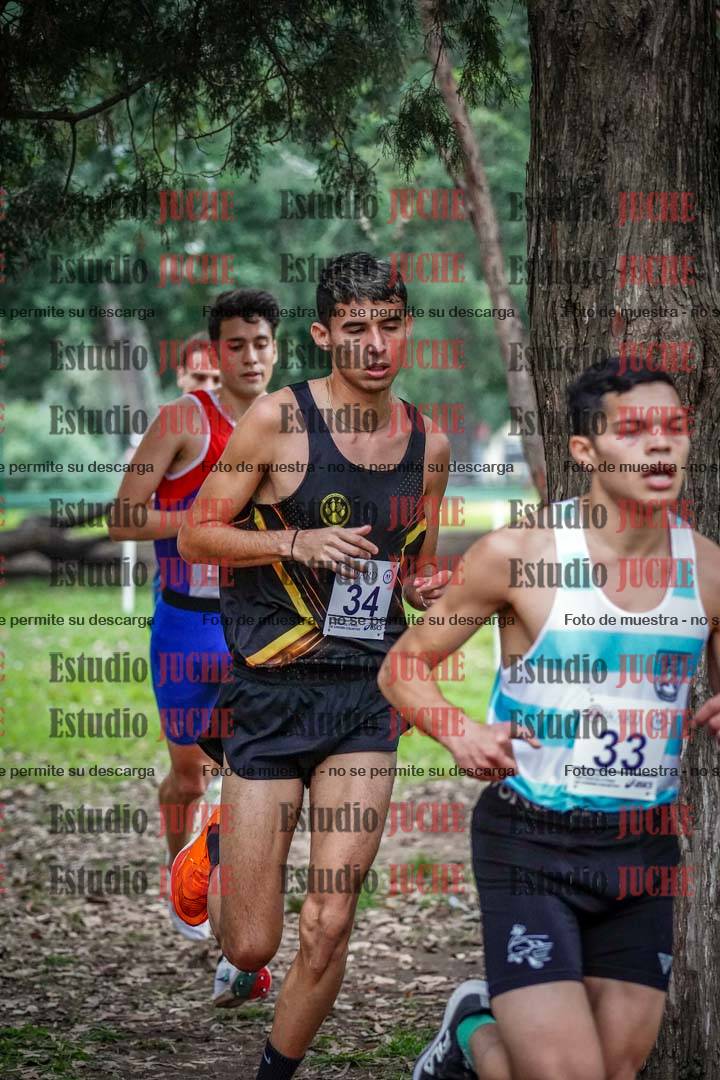 Fotos en el octavo punto del circuito