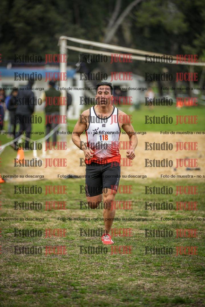 Fotos de la llegada del cross de 4000 m - varones