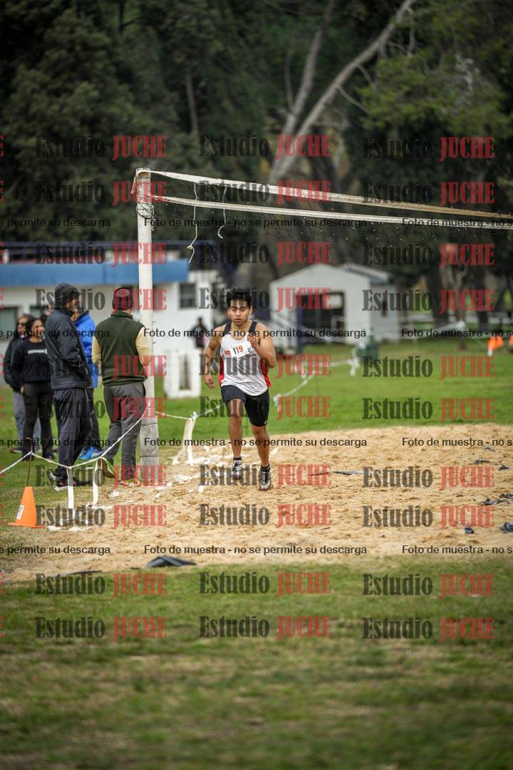 Fotos de la llegada del cross de 4000 m - varones