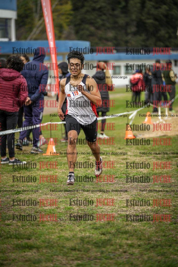 Fotos de la llegada del cross de 4000 m - varones