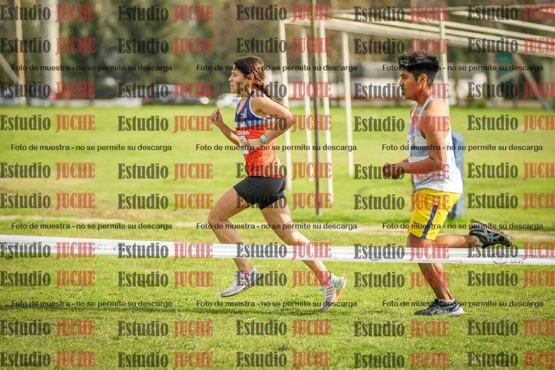 Fotos en el sexto punto del circuito