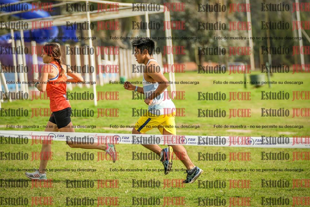 Fotos en el sexto punto del circuito
