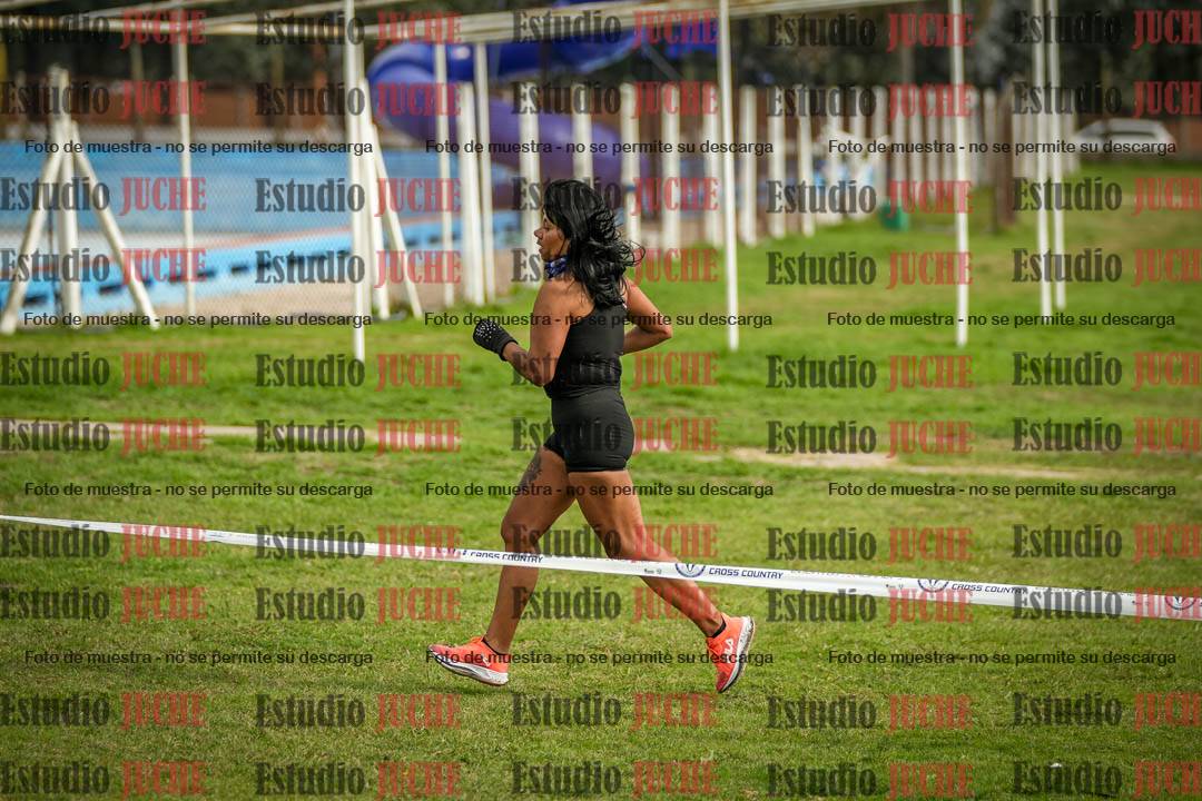 Fotos en el sexto punto del circuito
