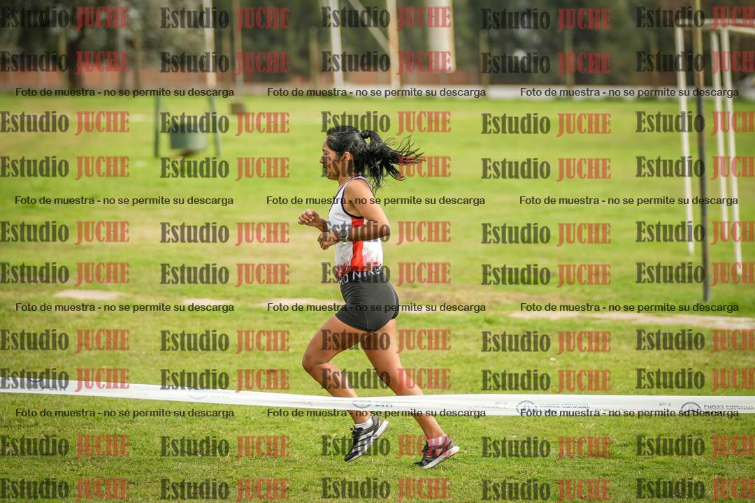 Fotos en el sexto punto del circuito