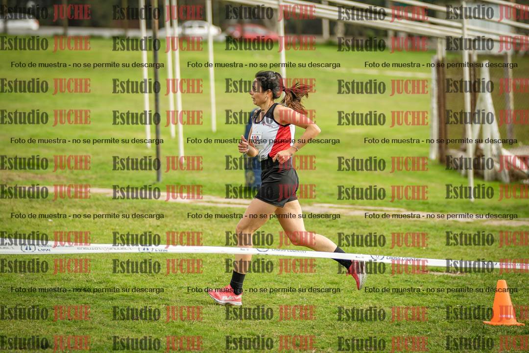 Fotos en el sexto punto del circuito