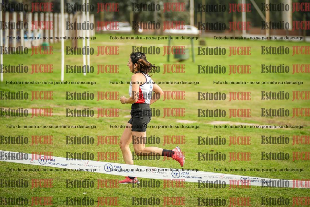 Fotos en el sexto punto del circuito