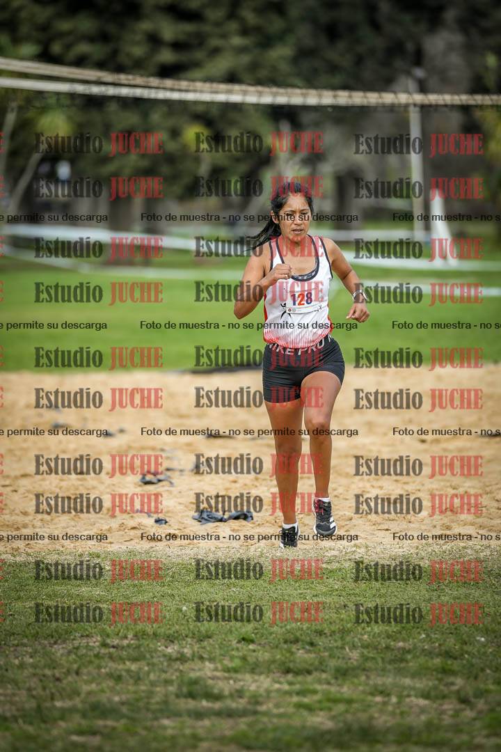 Fotos de la llegada del cross de 6000 m