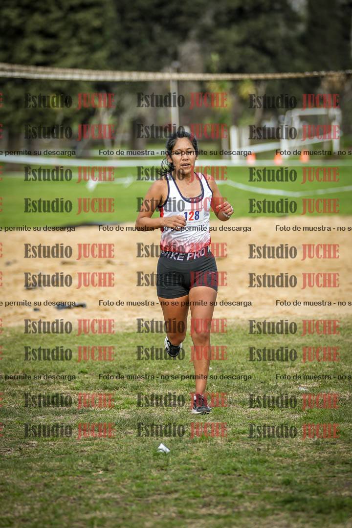 Fotos de la llegada del cross de 6000 m