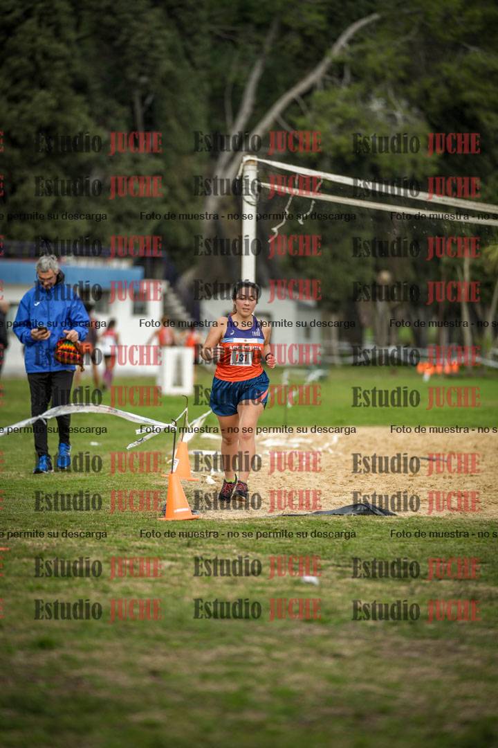 Fotos de la llegada del cross de 6000 m