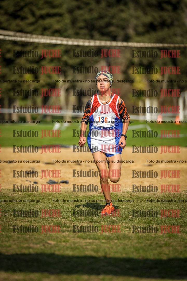Fotos de la llegada del cross de 2000 m