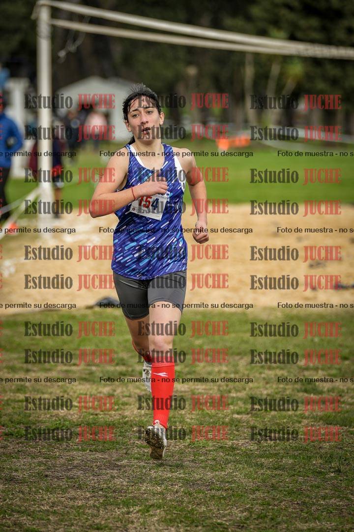 Fotos de la llegada del cross de 1500 m