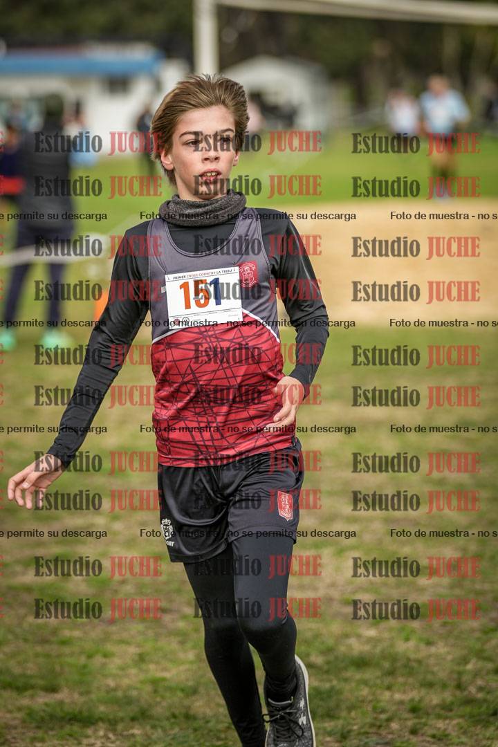 Fotos de la llegada del cross de 1500 m