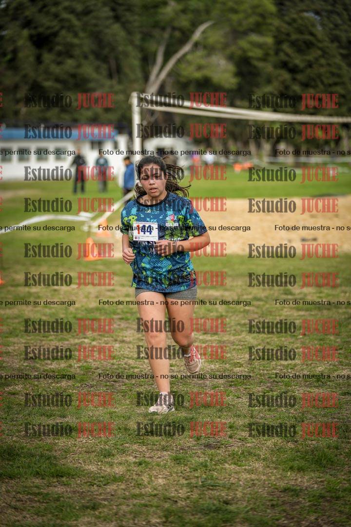 Fotos de la llegada del cross de 1500 m