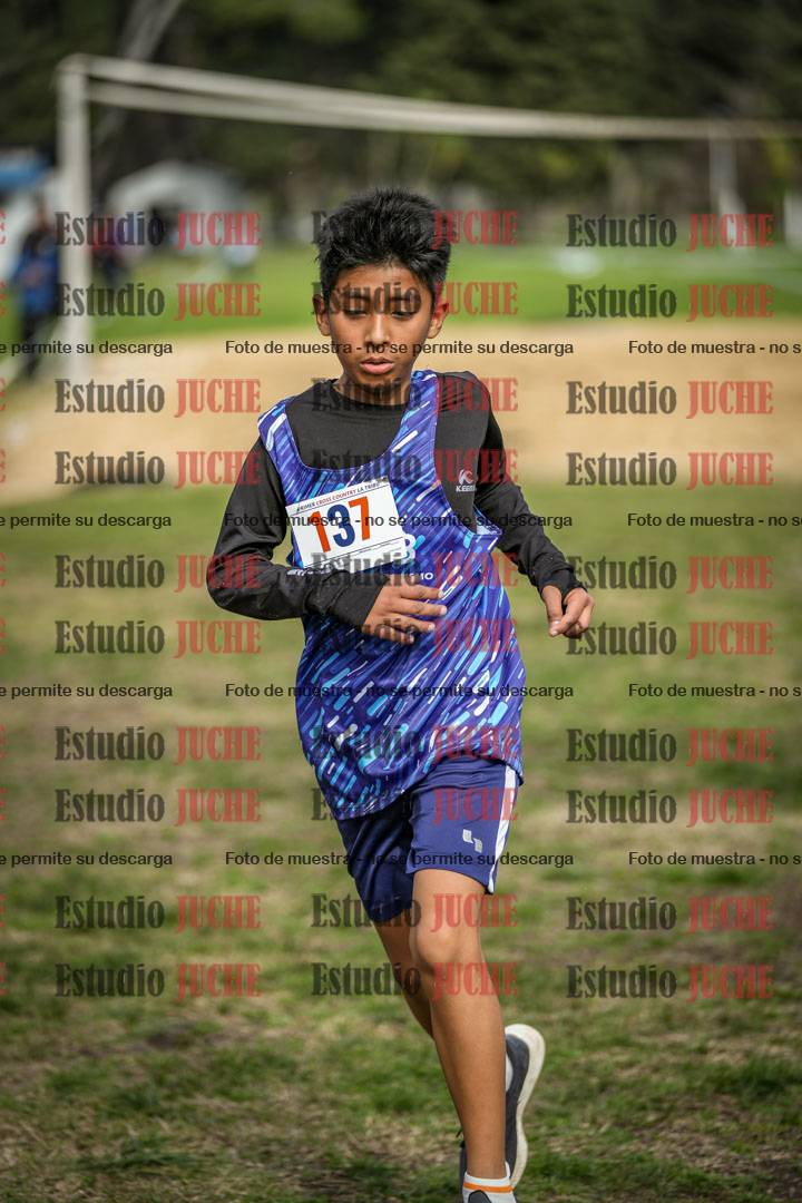 Fotos de la llegada del cross de 1000 m
